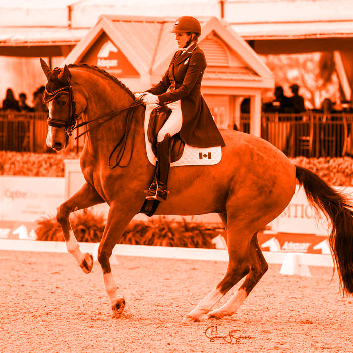 Veste de concours classique Navy | Equestrian Stockholm