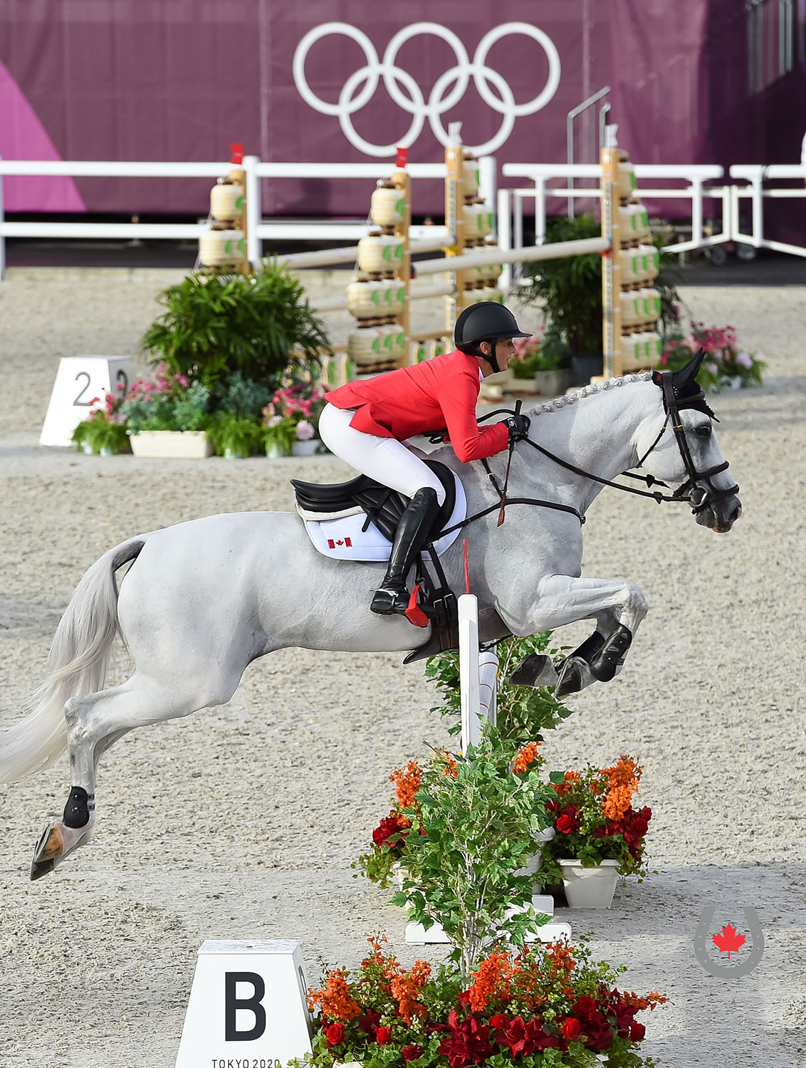 Pathway to Paris: Olympic Qualification Explained
