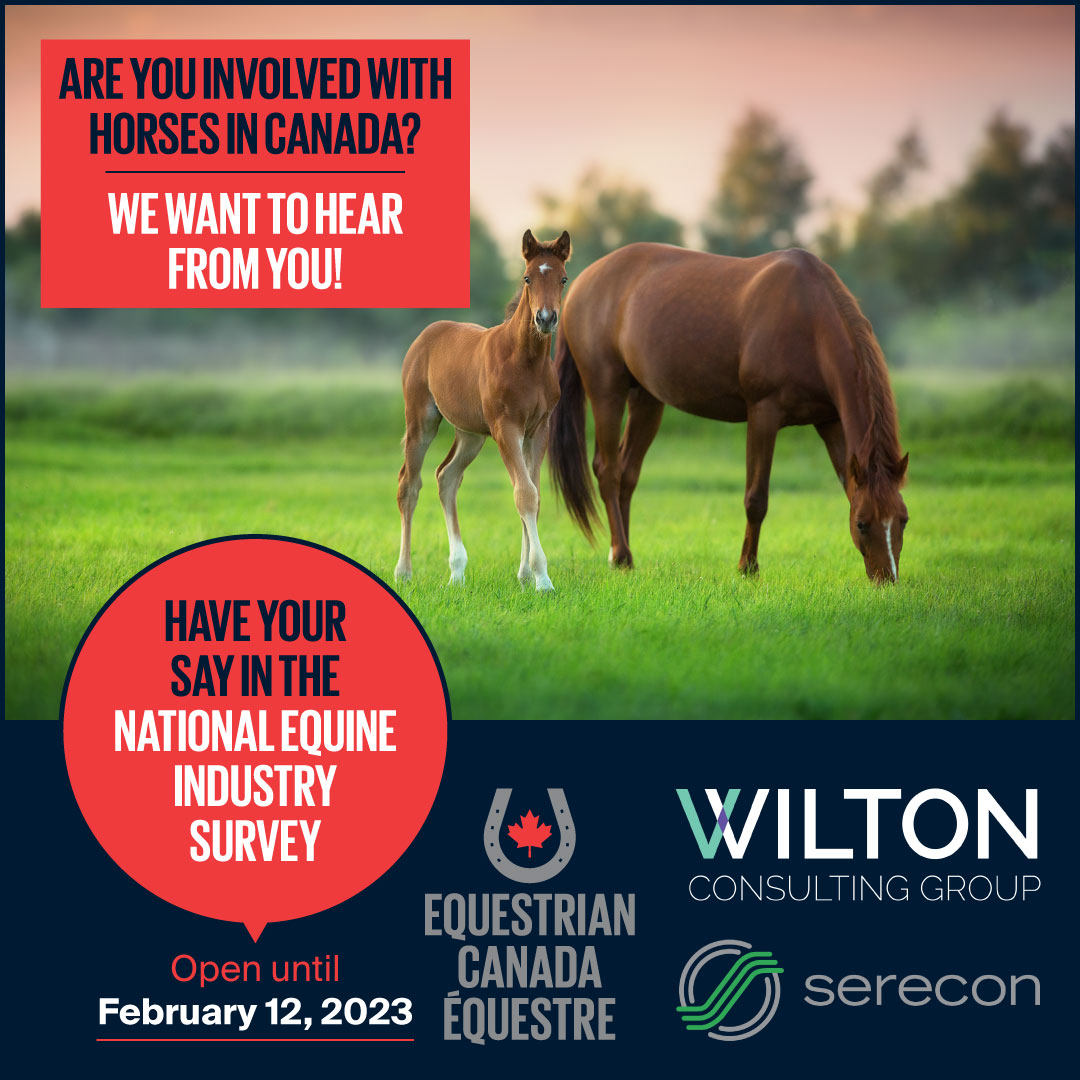 Have Your Say in the National Equine Industry Survey! - Equestrian Canada