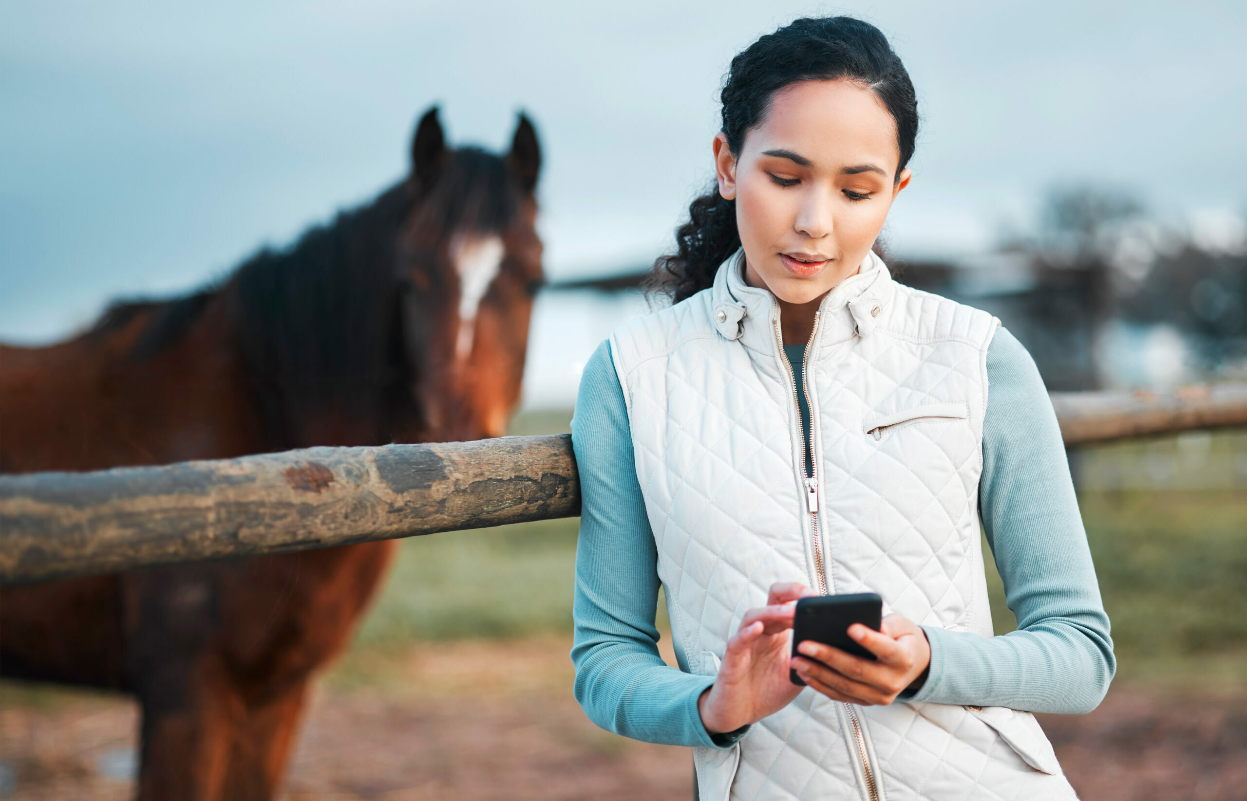 Equine Identification Equestrian Canada