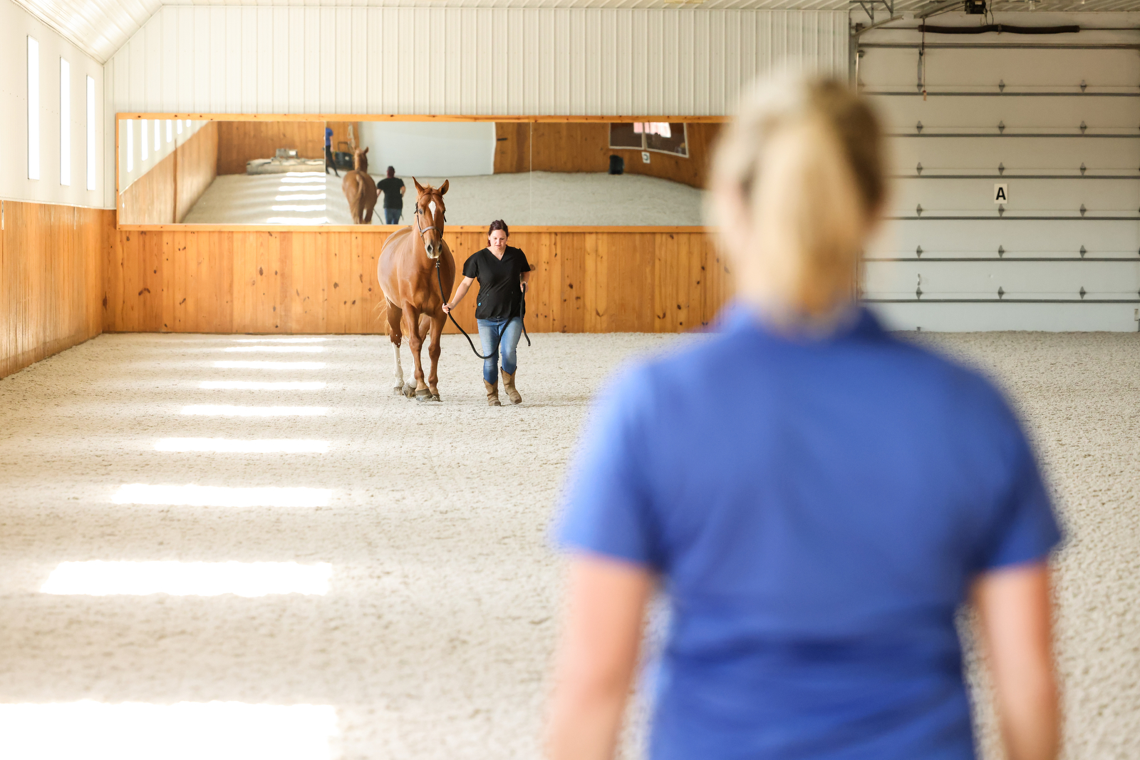 Active Equine Health and Welfare Equestrian Canada