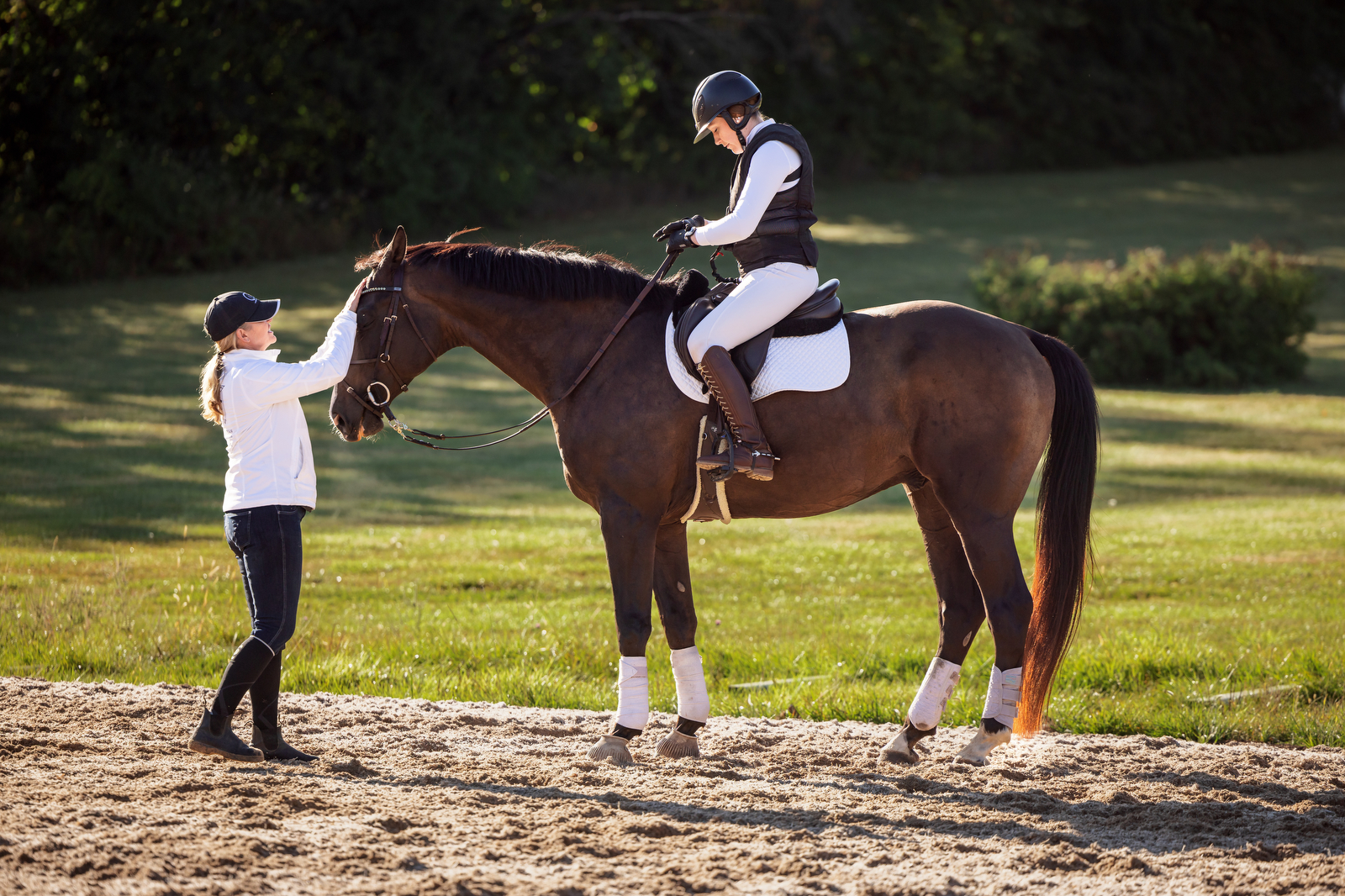 Coaches & Officials Equestrian Canada