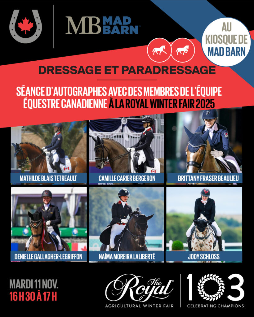 Kyle Timm couronné Champion canadien de saut d’obstacles - Equestrian ...