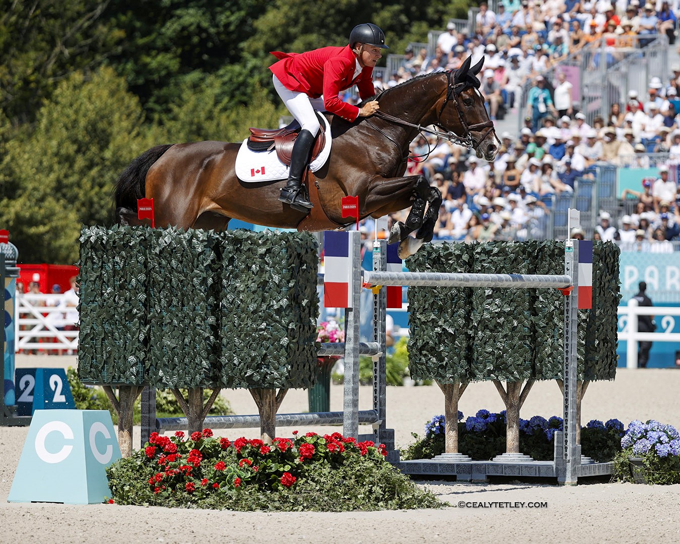 National Team Program Athletes Named for Dressage, Eventing, Jumping